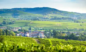 Paysage de vignobles verdoyants et de villages pittoresques, typique des plus beaux villages du Beaujolais.