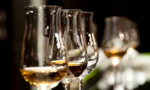 Verres de dégustation remplis de différents types de whisky, prêts pour une exploration des saveurs.