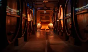 Cave d'Alsace, allées de foudres en bois, ambiance feutrée pour une dégustation vin alsace.