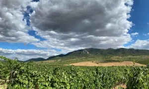 Vignoble verdoyant sous un ciel orageux, avec des collines et des champs à perte de vue. Un paysage typique de la région de Madrid.