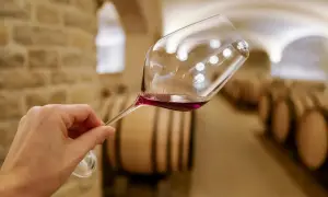 Verre de vin rouge tenu dans une cave à vin de Dijon, avec des tonneaux en arrière-plan. Une dégustation de vin inoubliable.