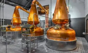 Alambics en cuivre brillants dans une distillerie, prêts à produire le meilleur whisky de Dublin.