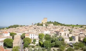 Vue panoramique de Châteauneuf-du-Pape, village pittoresque sur la route des vins, avec son château médiéval dominant les toits ocres et les vignobles.