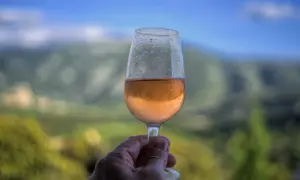Un verre de vin rosé frais, avec des gouttes de condensation, tenu à la main devant un paysage de montagne flou. Un moment de détente avec un vin d'une région ensoleillée.