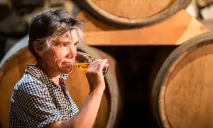 Une femme déguste un verre de vin de Pau, entourée de fûts de chêne dans une cave.