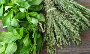 Un bouquet de basilic frais, de menthe et de thym, avec du romarin en arrière-plan. Chaque feuille aromatisée promet des saveurs intenses pour vos plats.