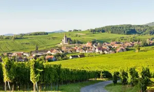 Village alsacien niché au cœur des vignobles verdoyants, typique de la route des vins alsace.