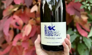 Une main tient une bouteille de vin nature Loire, "Atmosphères Jo Landron", devant des feuilles d'automne rouges et vertes.