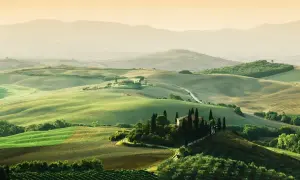 Paysage toscan vallonné avec une ferme, idéal pour l'oenotourisme à Arezzo. Vignes et cyprès bordent les routes sinueuses.