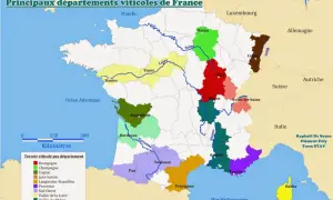Carte des principaux départements viticoles de France, montrant la diversité de chaque région des vins.