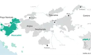 Carte des régions viticoles de la Loire, mettant en évidence le vignoble nantais et le Muscadet.