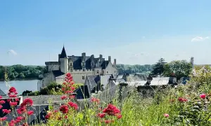 Vue d'un château sur une colline, avec des fleurs rouges au premier plan. Une belle journée pour une visite à Saumur.