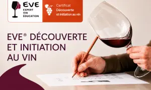 Un cours d'oenologie pour découvrir et s'initier au vin. Un verre de vin rouge est tenu par une main, tandis qu'une autre écrit sur un document.