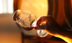 Dégustation d'un whisky ambré dans un verre tulipe, en arrière-plan des fûts de vieillissement. Un moment de plaisir qui pourrait bien lui valoir des **world whisky awards**.