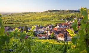Vue d'un village pittoresque sur la route des vins d'Alsace, entouré de vignobles verdoyants baignés de soleil.