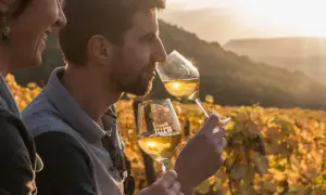 Un couple profite d'une dégustation vin Jura au coucher du soleil, entouré de vignes dorées.