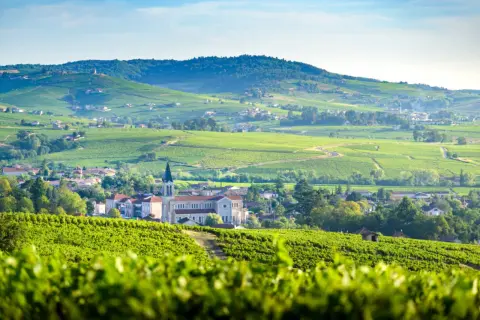 Paysage de vignobles verdoyants et de villages pittoresques, typique des plus beaux villages du Beaujolais.