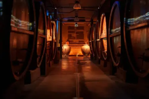 Cave d'Alsace, allées de foudres en bois, ambiance feutrée pour une dégustation vin alsace.