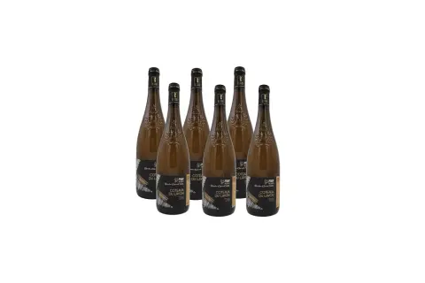 Six bouteilles de vin blanc Coteaux du Layon, prêtes à être dégustées.