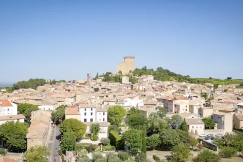 Vue panoramique de Châteauneuf-du-Pape, village pittoresque sur la route des vins, avec son château médiéval dominant les toits ocres et les vignobles.