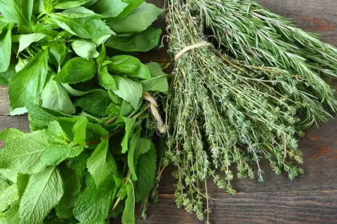 Un bouquet de basilic frais, de menthe et de thym, avec du romarin en arrière-plan. Chaque feuille aromatisée promet des saveurs intenses pour vos plats.