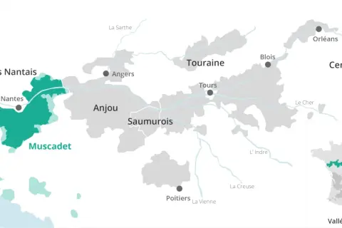 Carte des régions viticoles de la Loire, mettant en évidence le vignoble nantais et le Muscadet.