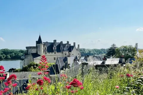 Vue d'un château sur une colline, avec des fleurs rouges au premier plan. Une belle journée pour une visite à Saumur.