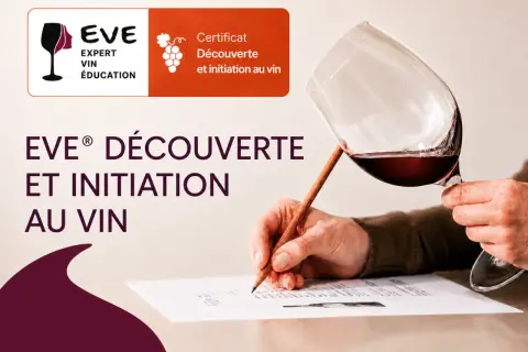 Un cours d'oenologie pour découvrir et s'initier au vin. Un verre de vin rouge est tenu par une main, tandis qu'une autre écrit sur un document.