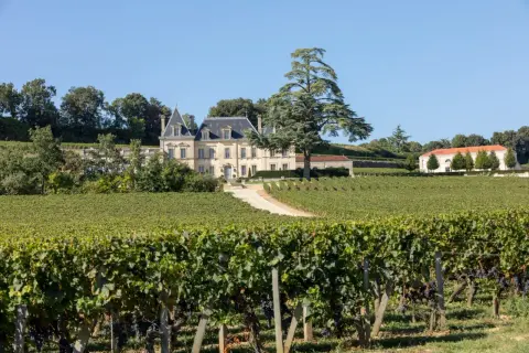 Château majestueux entouré de vignobles verdoyants, idéal pour le tourisme viticole. Un grand cèdre domine le paysage.