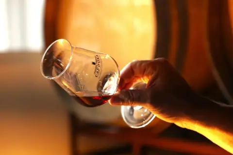 Dégustation d'un whisky ambré dans un verre tulipe, en arrière-plan des fûts de vieillissement. Un moment de plaisir qui pourrait bien lui valoir des **world whisky awards**.