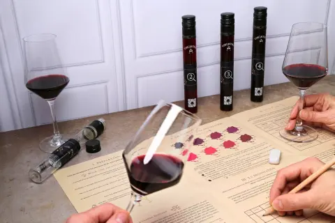Dégustation vin Touraine : verres de vin rouge, fioles numérotées et guide d'analyse pour une expérience œnologique.