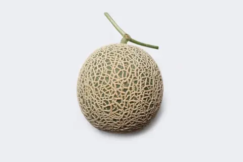 Un melon Yubari King, le fruit le plus cher du monde, avec sa peau finement texturée et sa tige verte, sur fond blanc.
