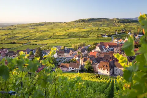 Vue d'un village pittoresque sur la route des vins d'Alsace, entouré de vignobles verdoyants baignés de soleil.