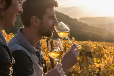 Un couple profite d'une dégustation vin Jura au coucher du soleil, entouré de vignes dorées.