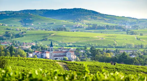Paysage de vignobles verdoyants et de villages pittoresques, typique des plus beaux villages du Beaujolais.