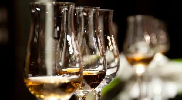 Verres de dégustation remplis de différents types de whisky, prêts pour une exploration des saveurs.