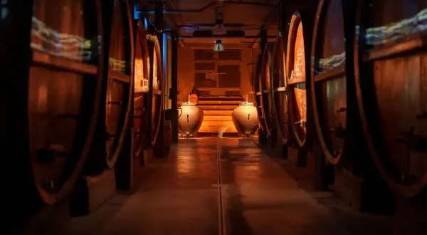 Cave d'Alsace, allées de foudres en bois, ambiance feutrée pour une dégustation vin alsace.