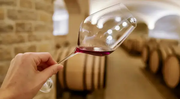 Verre de vin rouge tenu dans une cave à vin de Dijon, avec des tonneaux en arrière-plan. Une dégustation de vin inoubliable.