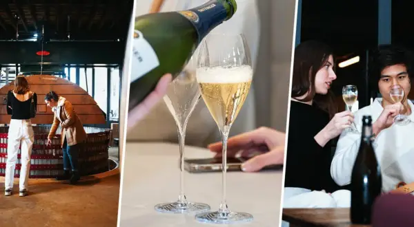 Trois scènes de dégustation champagne Paris : visite de cuverie, service à table et moment convivial entre amis.