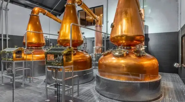 Alambics en cuivre brillants dans une distillerie, prêts à produire le meilleur whisky de Dublin.