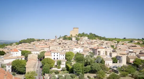 Vue panoramique de Châteauneuf-du-Pape, village pittoresque sur la route des vins, avec son château médiéval dominant les toits ocres et les vignobles.