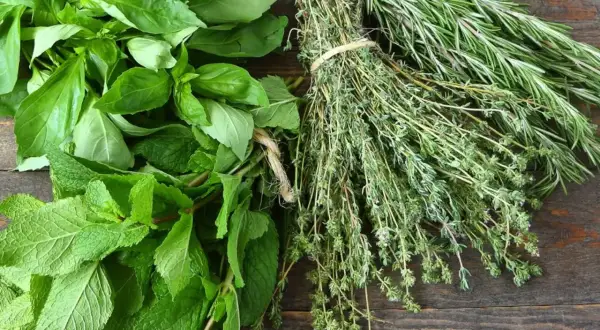 Un bouquet de basilic frais, de menthe et de thym, avec du romarin en arrière-plan. Chaque feuille aromatisée promet des saveurs intenses pour vos plats.