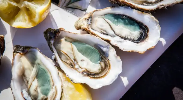 Trois huîtres vertes fraîchement ouvertes, prêtes à être dégustées avec des quartiers de citron.