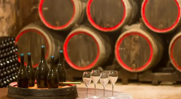 Bouteilles de champagne et verres sur un tonneau, prêts pour une visite de cave. Au fond, des fûts de chêne empilés.