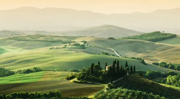 Paysage toscan vallonné avec une ferme, idéal pour l'oenotourisme à Arezzo. Vignes et cyprès bordent les routes sinueuses.