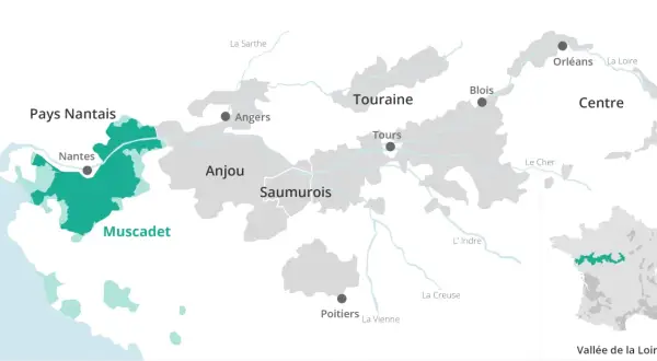 Carte des régions viticoles de la Loire, mettant en évidence le vignoble nantais et le Muscadet.