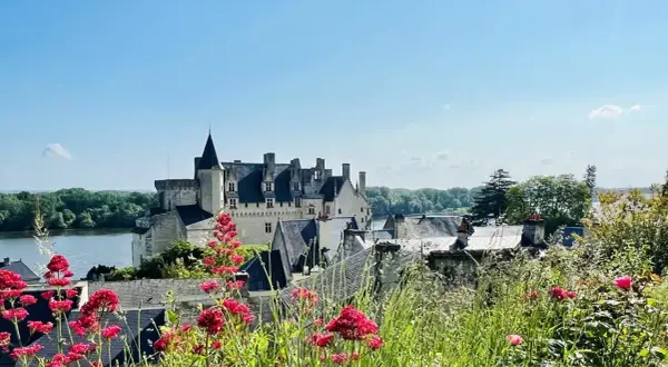 Vue d'un château sur une colline, avec des fleurs rouges au premier plan. Une belle journée pour une visite à Saumur.