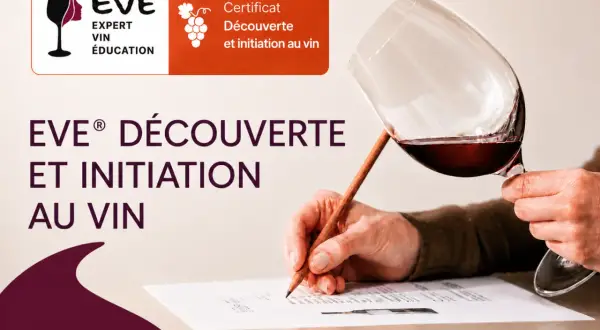 Un cours d'oenologie pour découvrir et s'initier au vin. Un verre de vin rouge est tenu par une main, tandis qu'une autre écrit sur un document.
