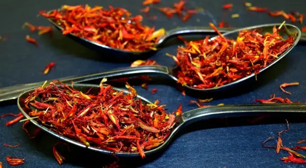 Trois cuillères remplies de filaments rouge orangé, une épice précieuse.
