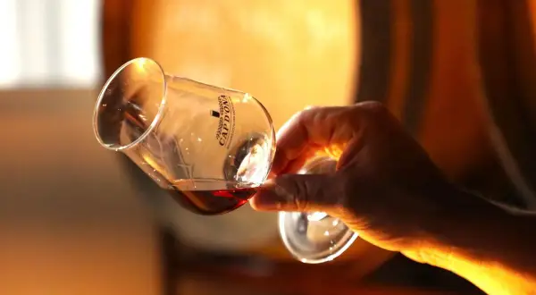 Dégustation d'un whisky ambré dans un verre tulipe, en arrière-plan des fûts de vieillissement. Un moment de plaisir qui pourrait bien lui valoir des **world whisky awards**.